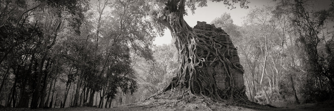 The Magic of Panoramic Images