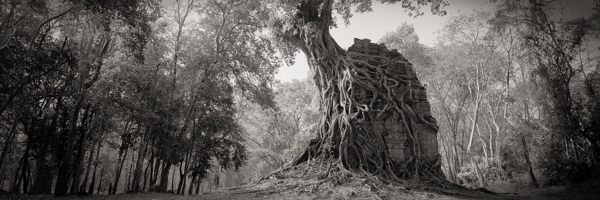 The Magic of Panoramic Images