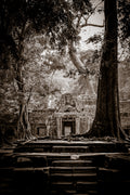 Ta Prohm, Angkor, Cambodia.