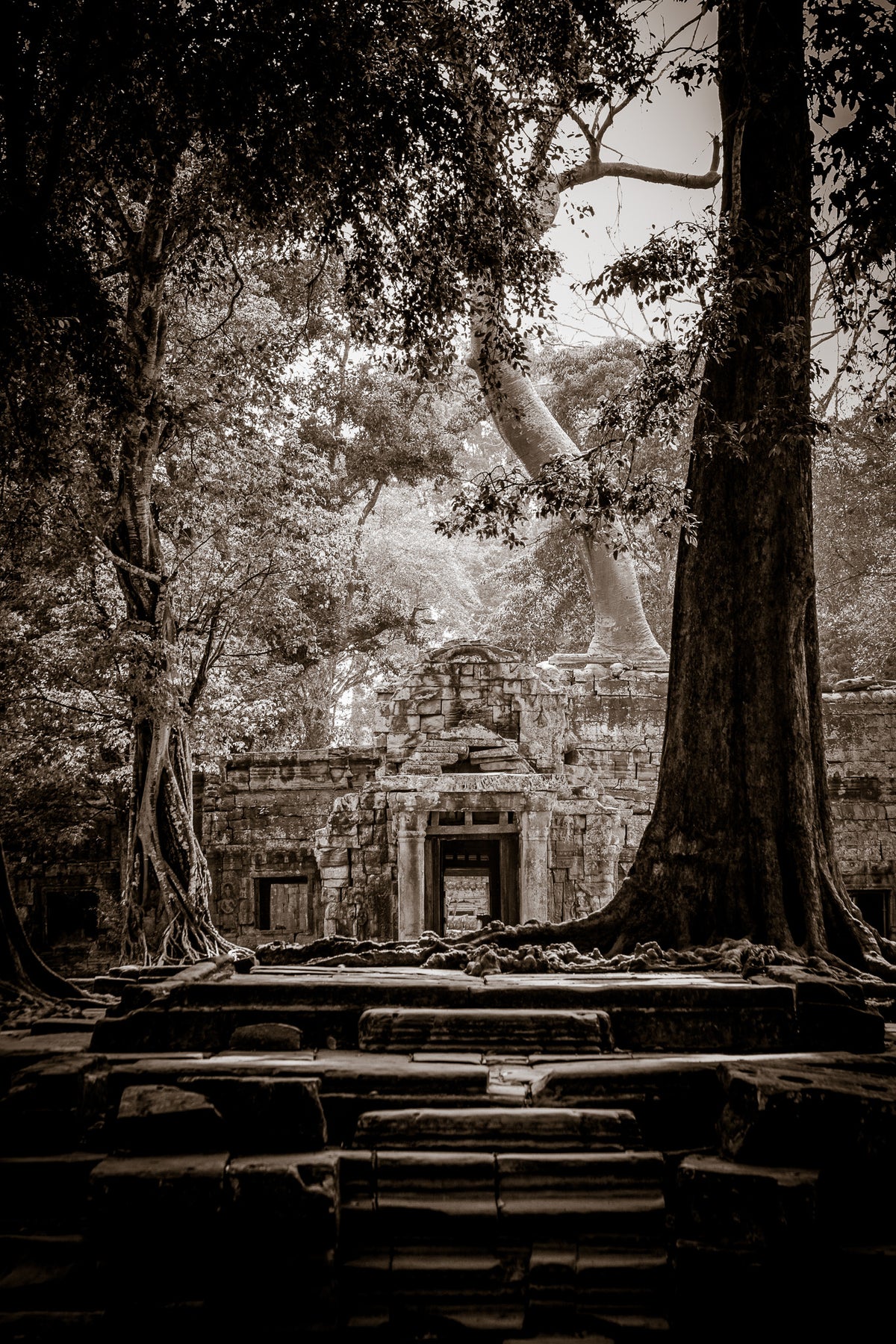 Ta Prohm, Angkor, Cambodia.