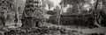 Wide shot of Ta Prohm, Angkor, Cambodia.