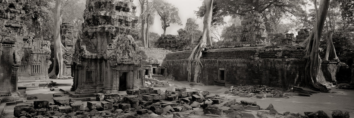 Wide shot of Ta Prohm, Angkor, Cambodia.