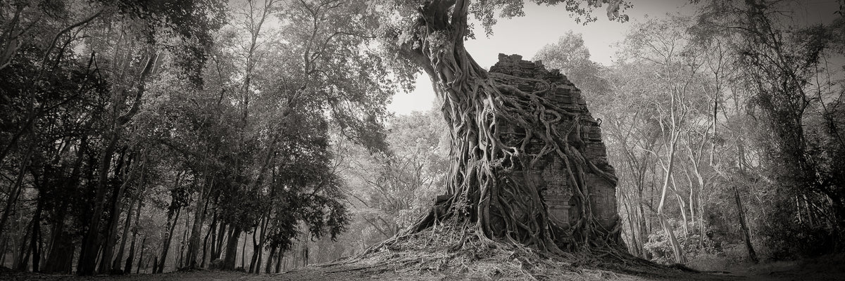Tambour Prei Kuk, Cambodia.