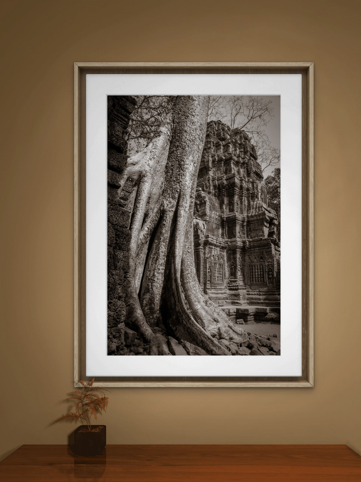 Tree in Ta Prohm, Angkor, Cambodia.