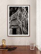 Tree in Ta Prohm, Angkor, Cambodia.