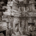 Detail of Ta Prohm, Angkor, Cambodia.
