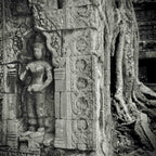 Temple detail, Angkor, Cambodia.