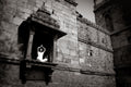 A woman in white does yoga in Lodhi Gardens, New Delhi, India.
