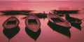 Boats ready for tourists at dawn on the Ganges River.  Banaras, India.