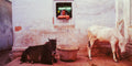 A woman peers from her kitchen.  Banaras, India.