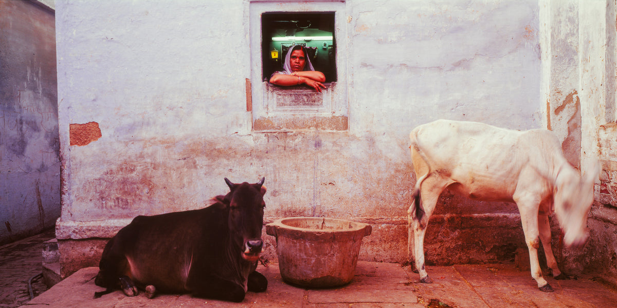 A woman peers from her kitchen.  Banaras, India. (Gallery Print)