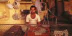A man in a provisions shop.  Banaras, India.