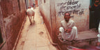 Portrait of an elderly man. Banaras, India.