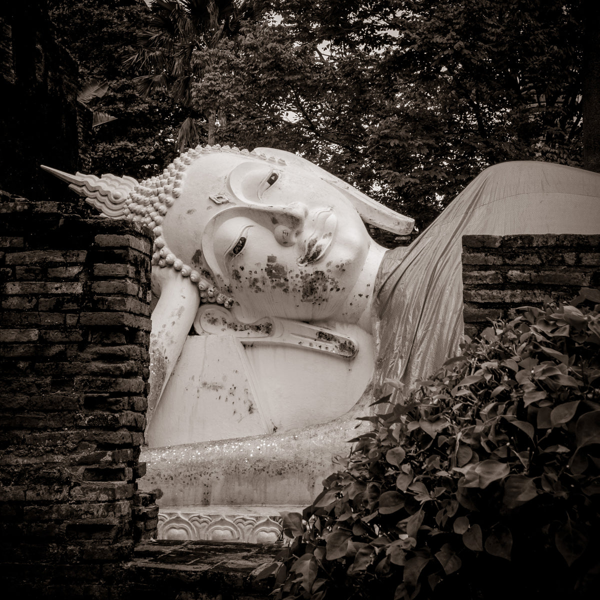Reclining Buddha, Wat Mahatat.  Ayutthaya, Thailand. (Gallery Print)