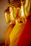 Golden Buddhas. Grand Palace, Bangkok, Thailand. (Gallery Print)