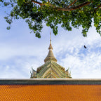 Grand Palace and bird.  Grand Palace, Bangkok, Thailand.