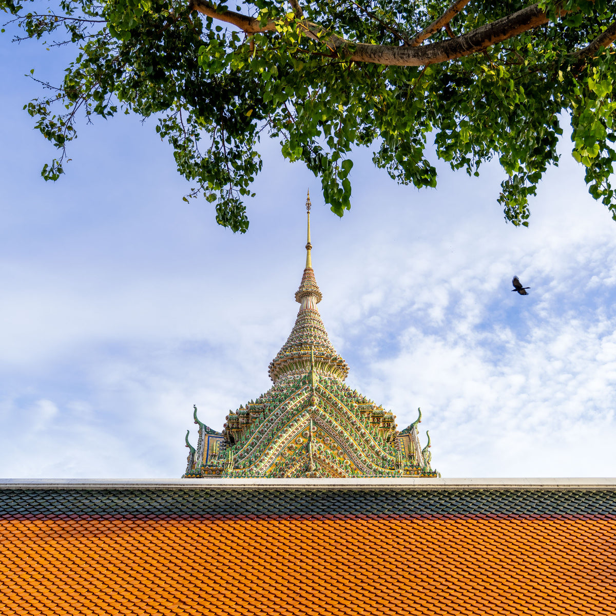 Grand Palace and bird.  Grand Palace, Bangkok, Thailand.