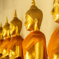 Golden Buddhas in soffron robes.  Wat Pho, Bangkok, Thailand.