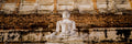 Panoramic image of large Buddha statue.  Wat Mahatat, Ayutthaya, Thailand.