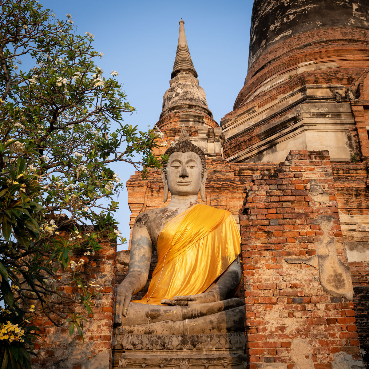 Large Buddha statue.  Wat Mahatat, Ayutthaya, Thailand.