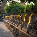 Many buddha statues all in a row in early morning light.  Wat Mahatat, Ayutthaya, Thailand.