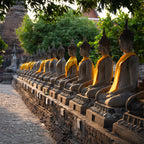 Many buddha statues all in a row in early morning light.  Wat Mahatat, Ayutthaya, Thailand.