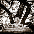 Buddha statue. Chiang Mai, Thailand.