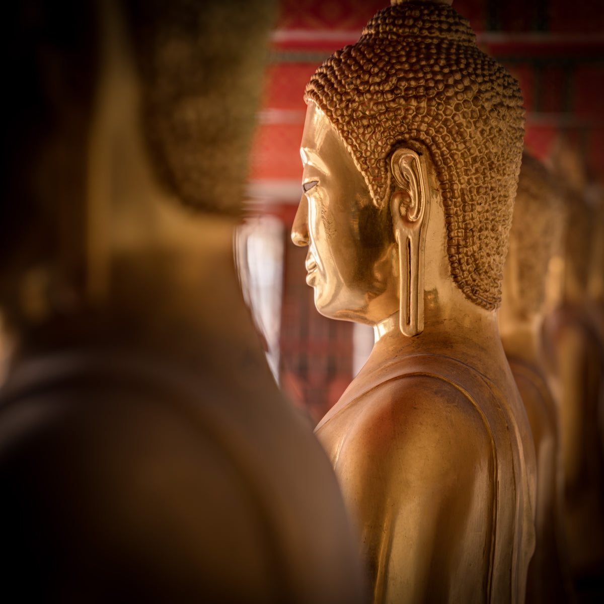 Golden Buddha, Wat Poh, Bangkok, Thailand.