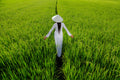 Woman in traditional Vietnamese dress in rice field.