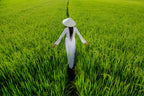 Woman in traditional Vietnamese dress in rice field.