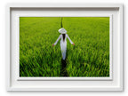 Woman in traditional Vietnamese dress in rice field.