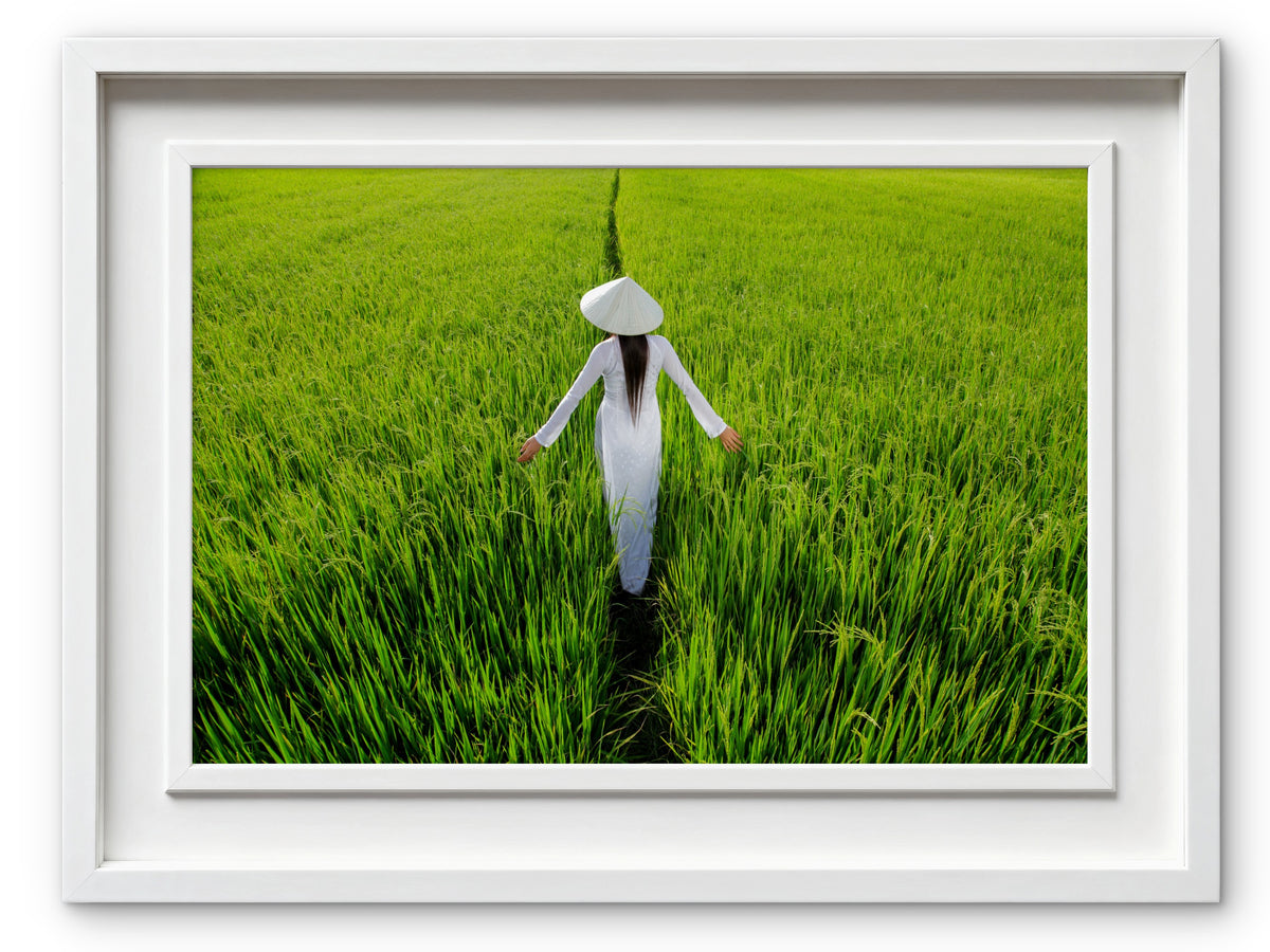 Woman in traditional Vietnamese dress in rice field.