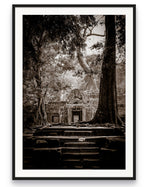 Ta Prohm, Angkor, Cambodia.