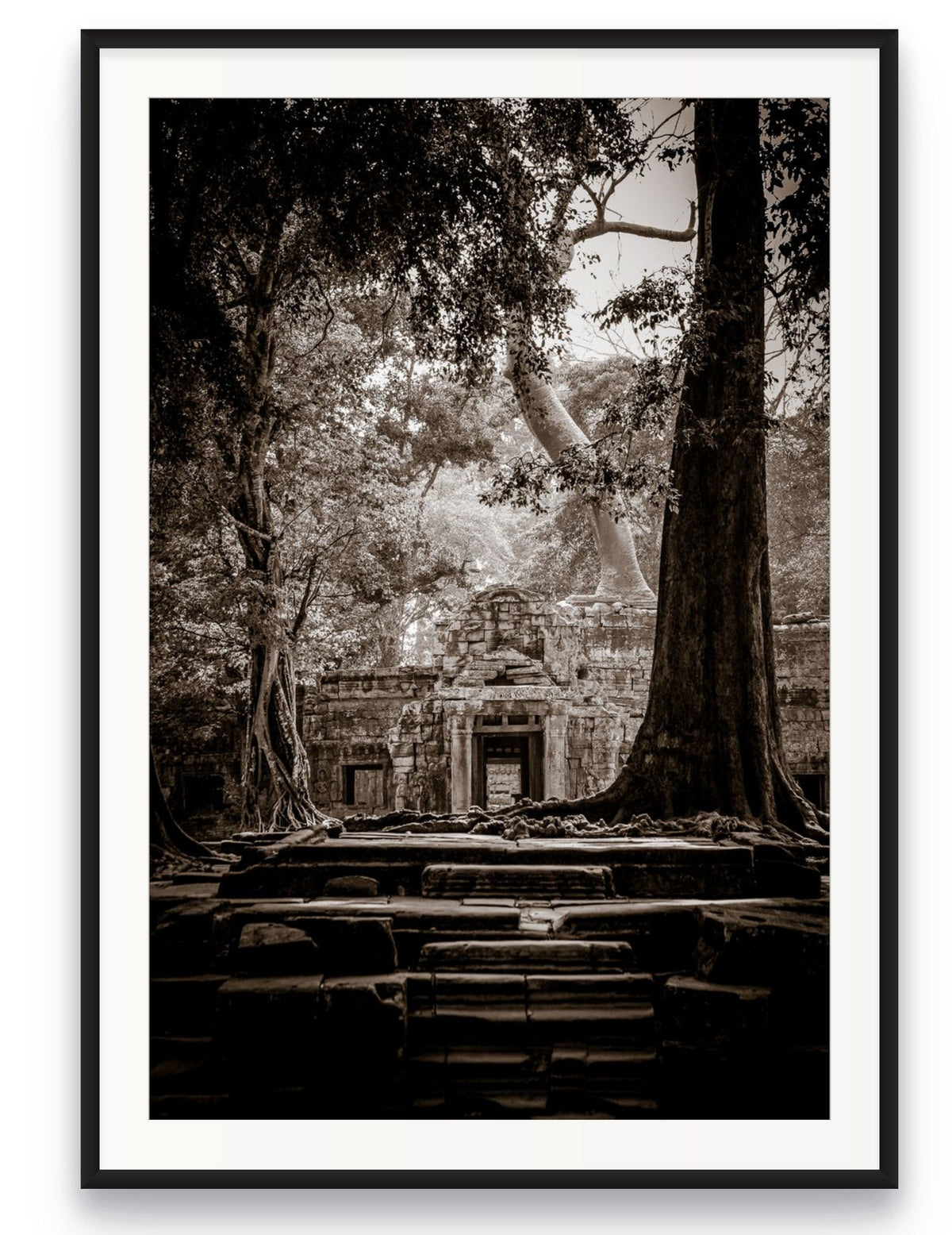 Ta Prohm, Angkor, Cambodia.
