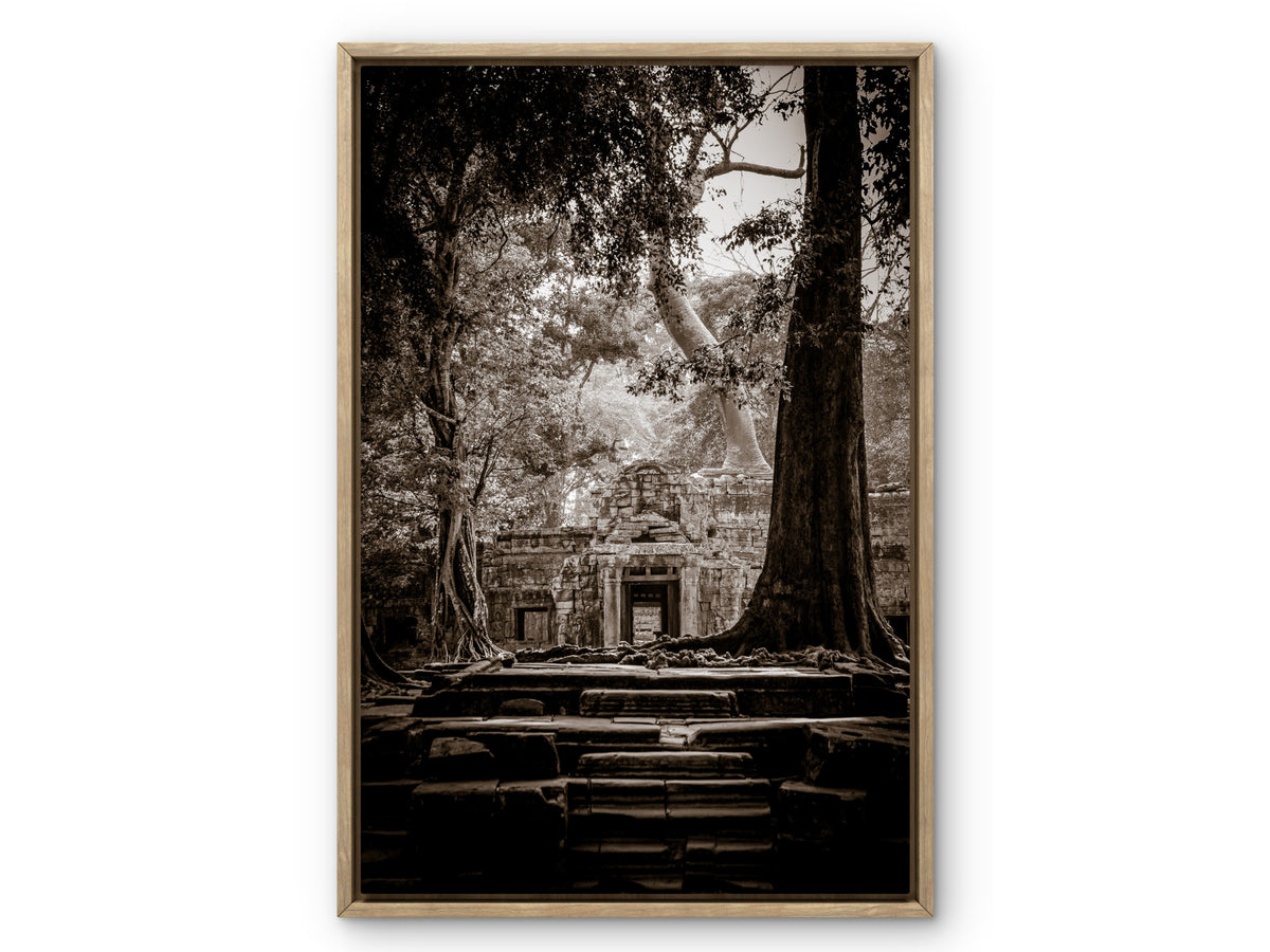 Ta Prohm, Angkor, Cambodia.