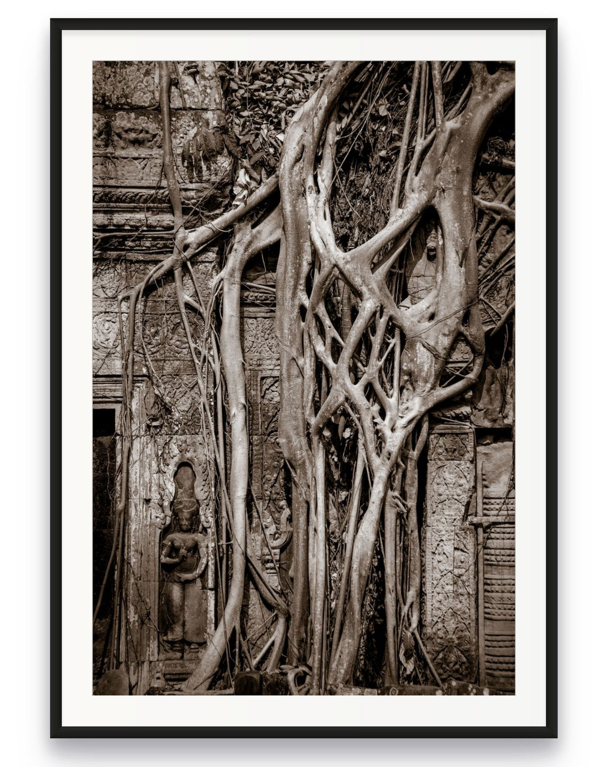 Tree in Ta Prohm, Angkor, Cambodia.