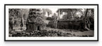 Wide shot of Ta Prohm, Angkor, Cambodia.