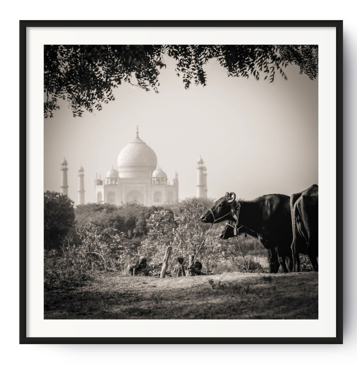 Taj Mahal as seen from across the Jamuna river.  Agra, India.