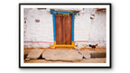 Chicken and Door, rural India.