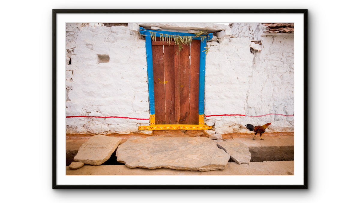Chicken and Door, rural India.