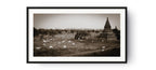 Cows and temples in Bagan, Myanmar.