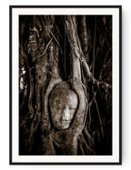 Buddha head, Ayutthaya, Thailand.