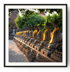 Many buddha statues all in a row in early morning light.  Wat Mahatat, Ayutthaya, Thailand.